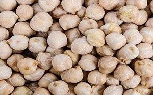 تصویر 4 از قیمت نخود دیم پایه بلند + خرید باور نکردنی